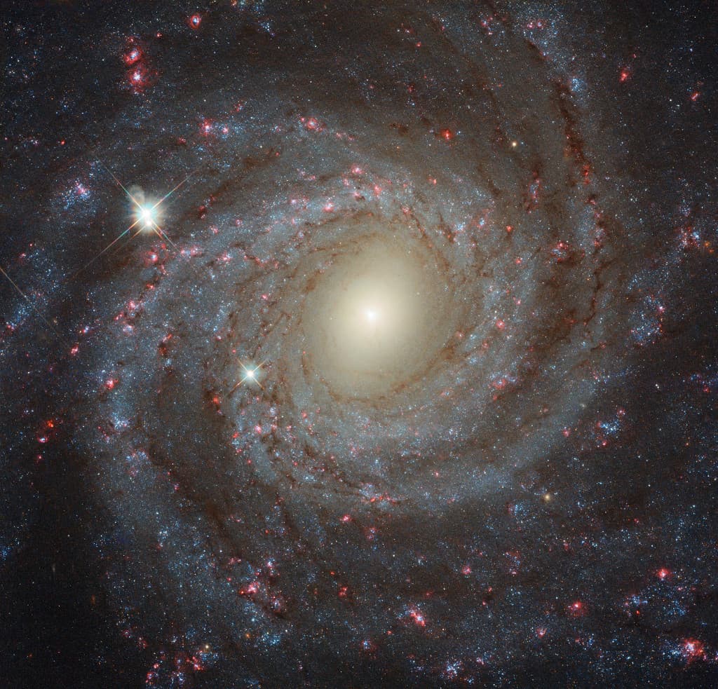 NGC 3344: Yüzeyine Doğru Bir Bakış